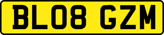 BL08GZM