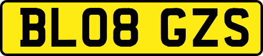 BL08GZS