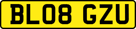 BL08GZU