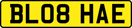 BL08HAE