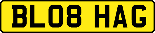 BL08HAG