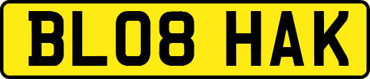 BL08HAK