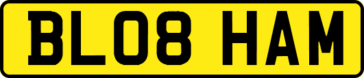 BL08HAM