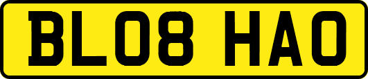 BL08HAO