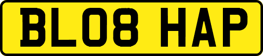 BL08HAP