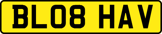 BL08HAV