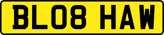BL08HAW