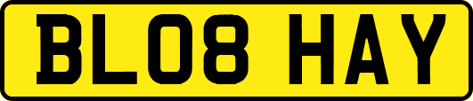BL08HAY