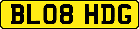 BL08HDG