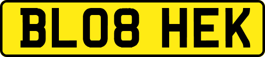 BL08HEK