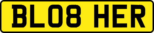 BL08HER