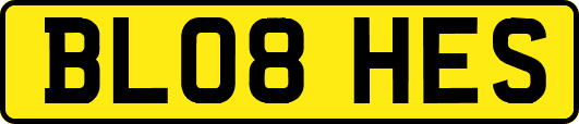 BL08HES