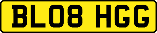 BL08HGG
