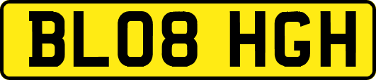 BL08HGH