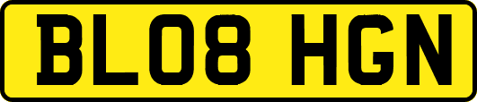 BL08HGN