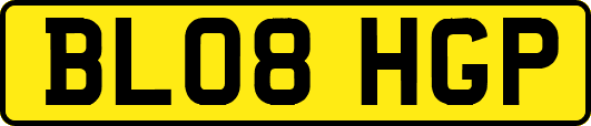 BL08HGP
