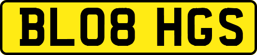 BL08HGS