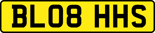 BL08HHS
