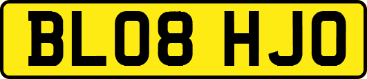 BL08HJO