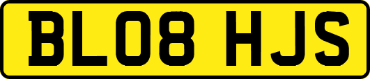 BL08HJS