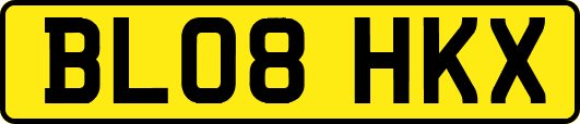 BL08HKX