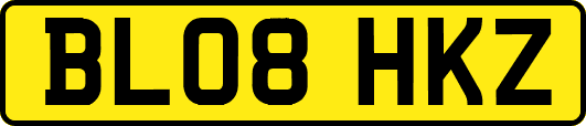 BL08HKZ