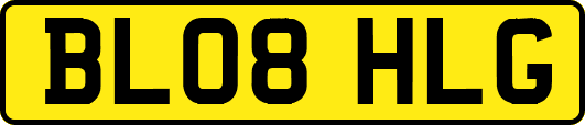 BL08HLG