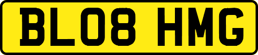 BL08HMG