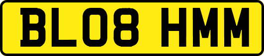 BL08HMM