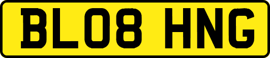 BL08HNG