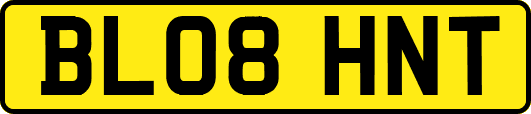 BL08HNT