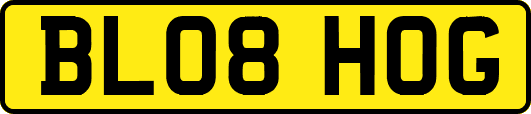 BL08HOG