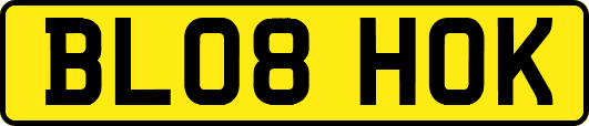 BL08HOK