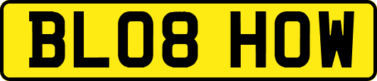 BL08HOW