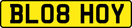 BL08HOY