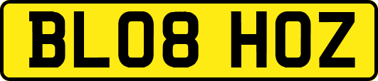 BL08HOZ