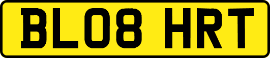 BL08HRT