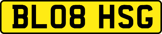 BL08HSG