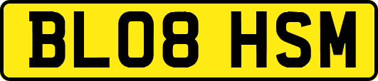 BL08HSM