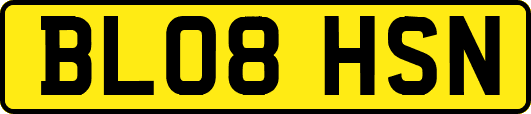 BL08HSN