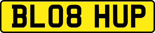 BL08HUP