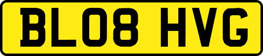 BL08HVG