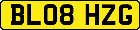 BL08HZG