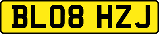 BL08HZJ