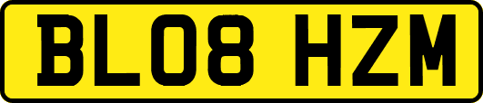BL08HZM