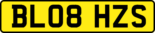 BL08HZS