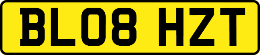 BL08HZT