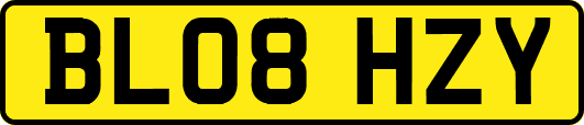 BL08HZY