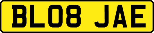 BL08JAE
