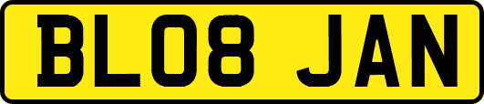 BL08JAN